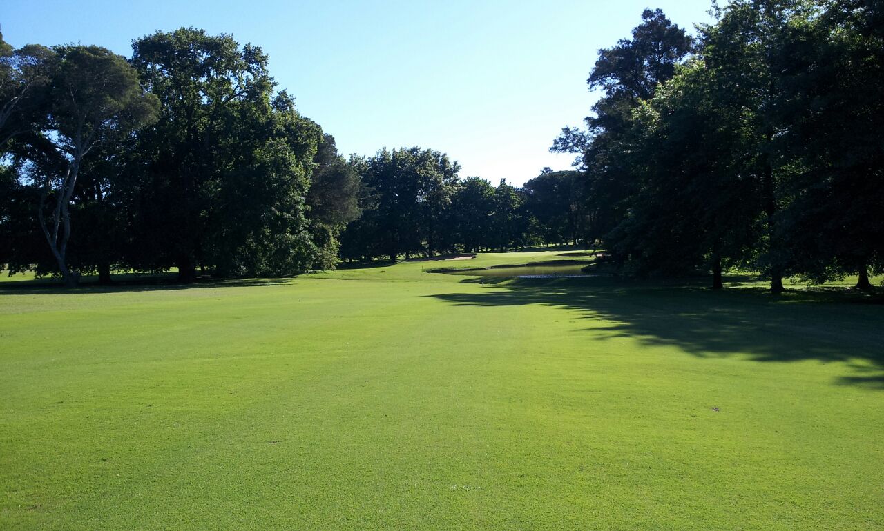 Mature trees framing the course